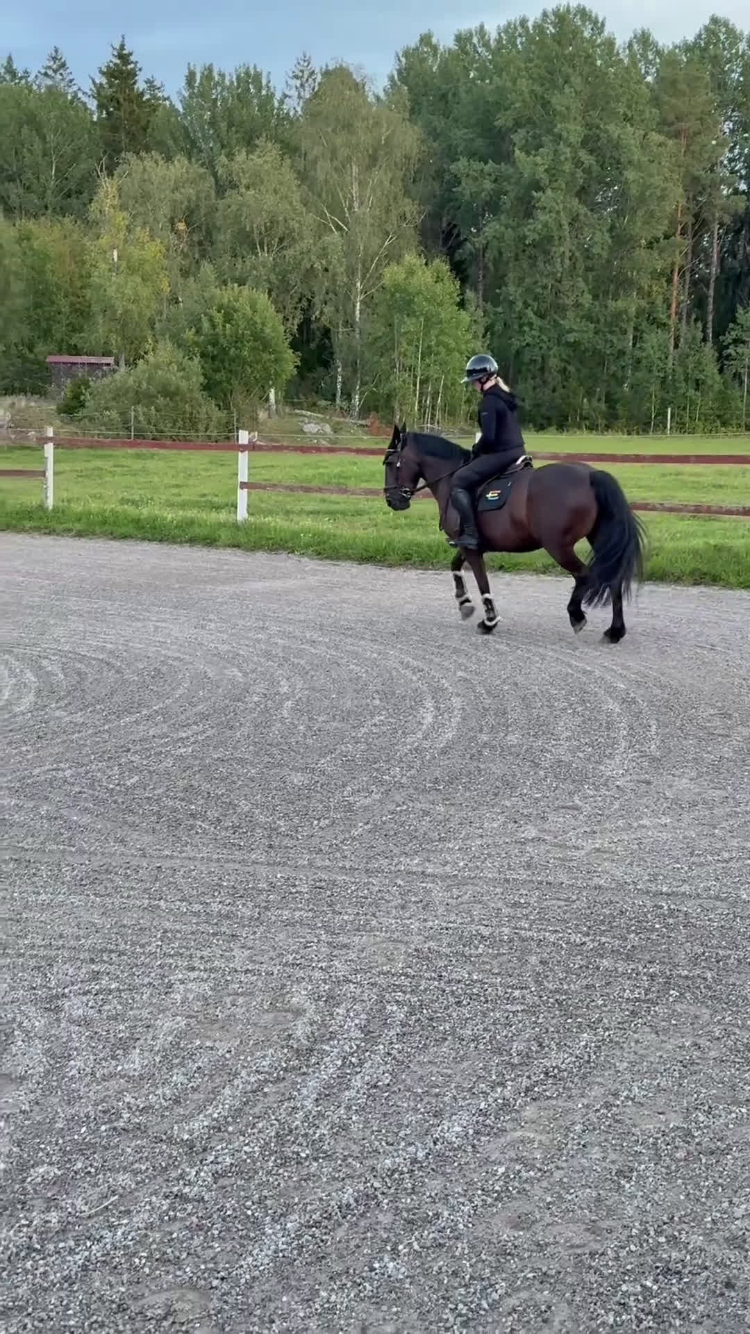 Hoppning hästar till salu: 🌟Fantastisk hopponny 🌟 i Adelsö - Video 2