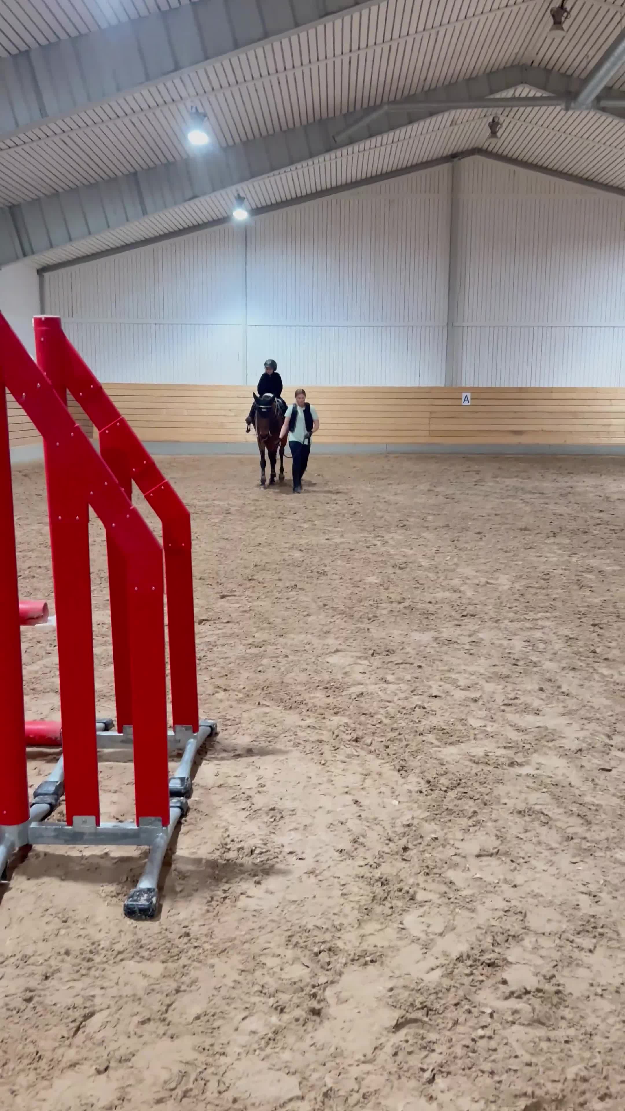 Allround hästar till salu: Justin söker en ny bästa vän - Video 3