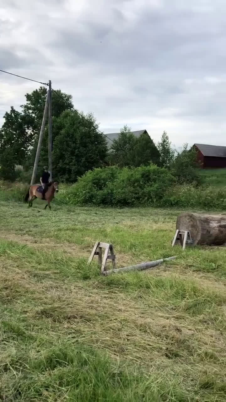 Hoppning hästar till salu: Maxad B-ponny i Valdemarsvik - Video 4