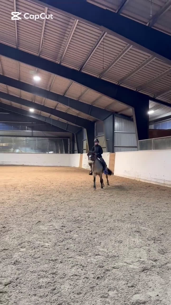 Allround hästar till salu: Fin allroundponny i Rydaholm - Video 3