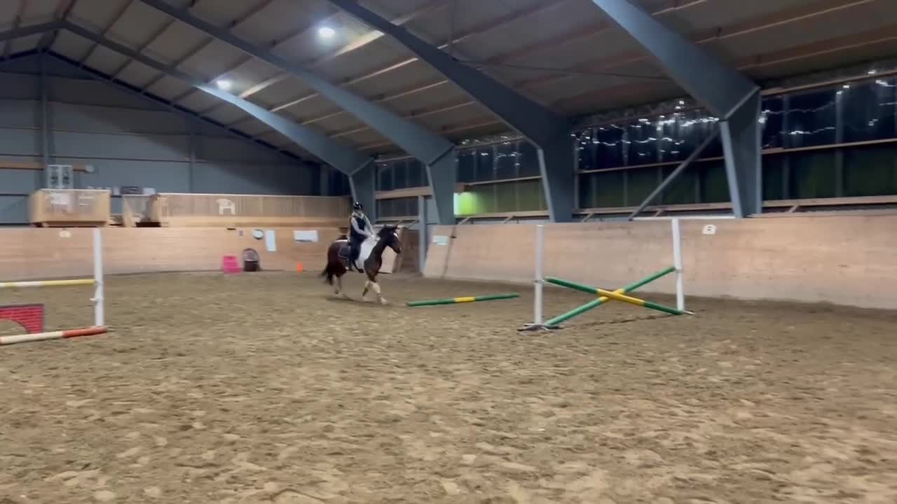 Allround hästar till salu: Fantastisk 12 årig allroundvalack säljes. - Video 2