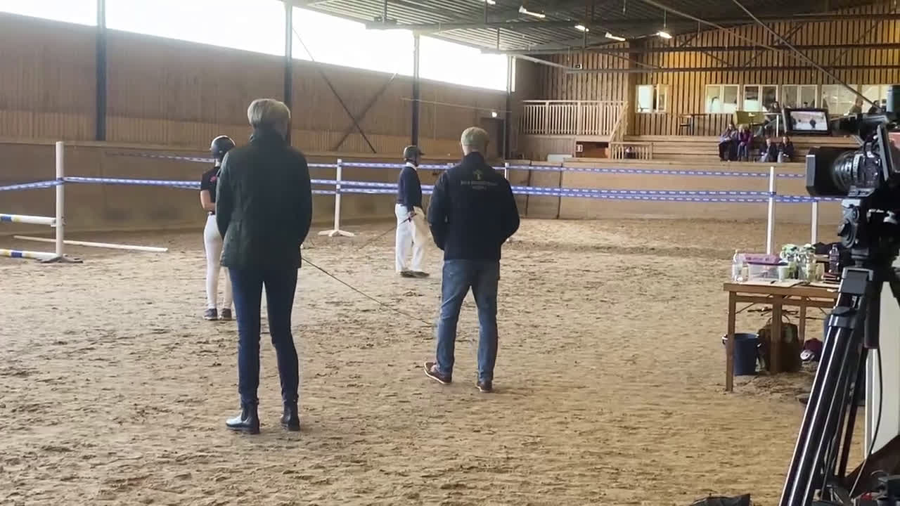 Fälttävlan hästar till salu: Snygg 3-åring, hopp/fälttävlan e. Cannobio - Video 1