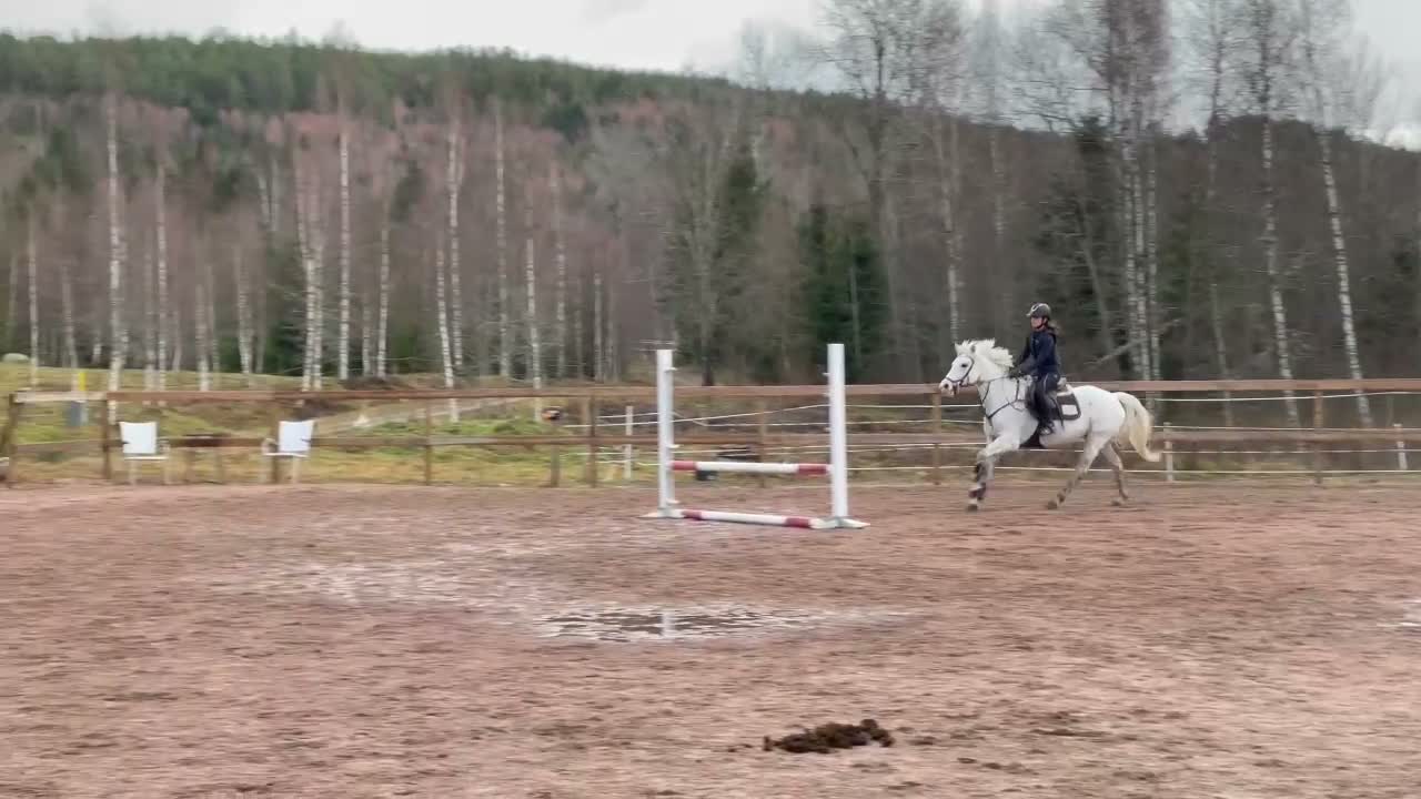 Allround hästar till salu: Fin och trevlig allroundponny - Video 1