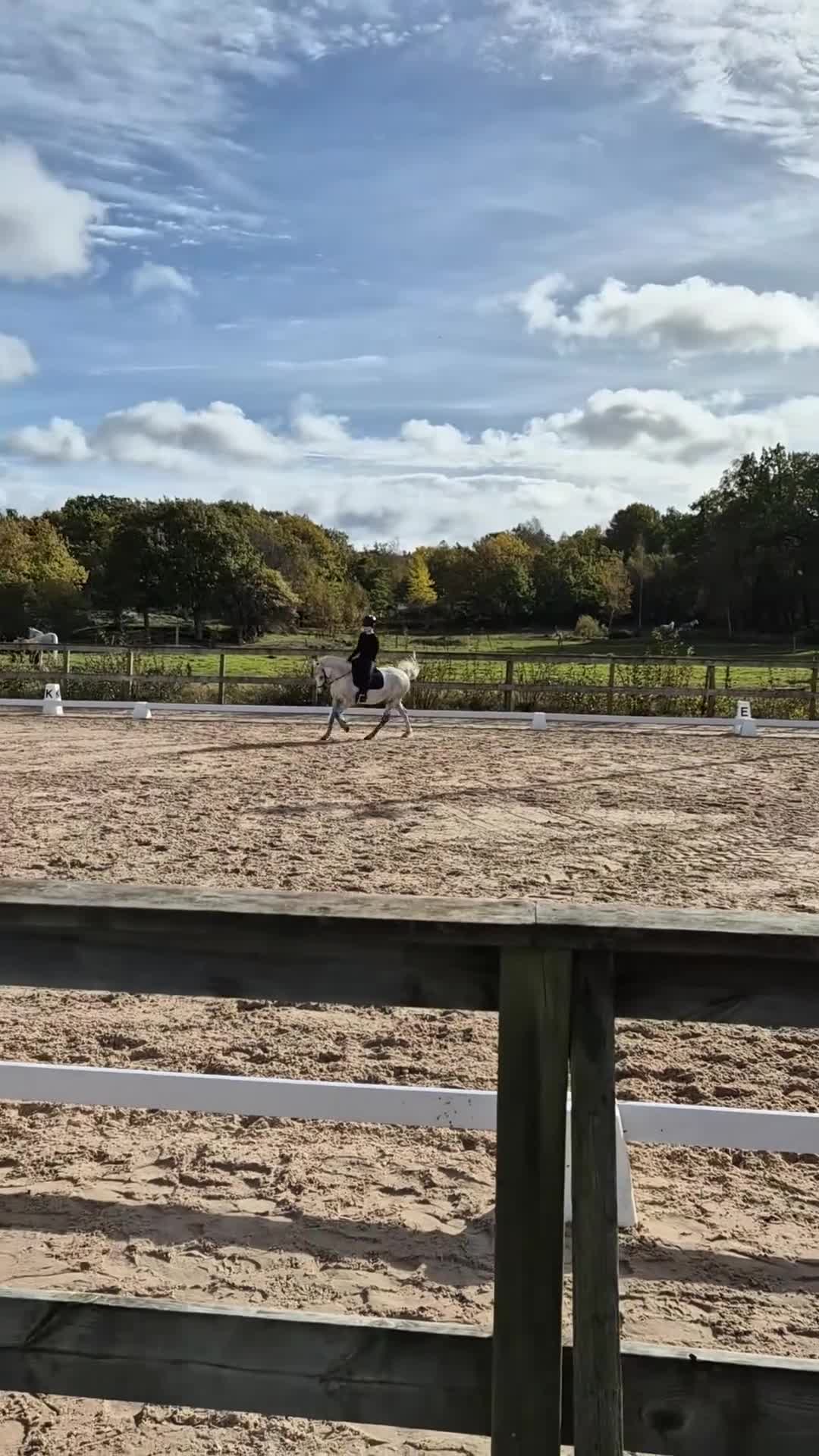 Allround hästar till salu: Snällt C-ponnysto - Video 2