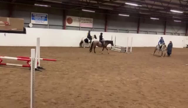 Allround hästar till salu: Rolig hoppglad ponny för rutinerad ryttare i Stånga - Video 2