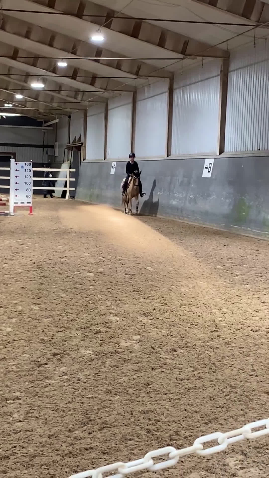  foderhäst finnes: Hel/halvfoderponny finnes i Lidköping - Video 3