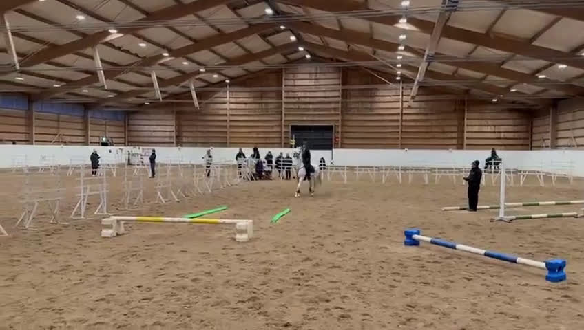 Hoppning hästar till salu: Drömponnyn Vera till salu! - Video 2