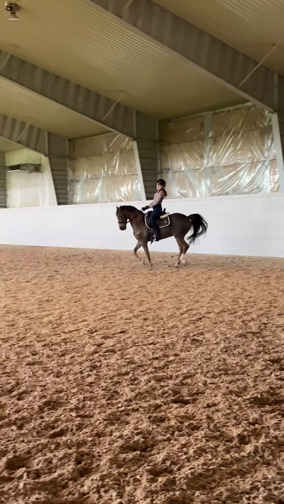 Dressyr hästar till salu: SM ponny med stort ❤️ i Rimbo - Video 2