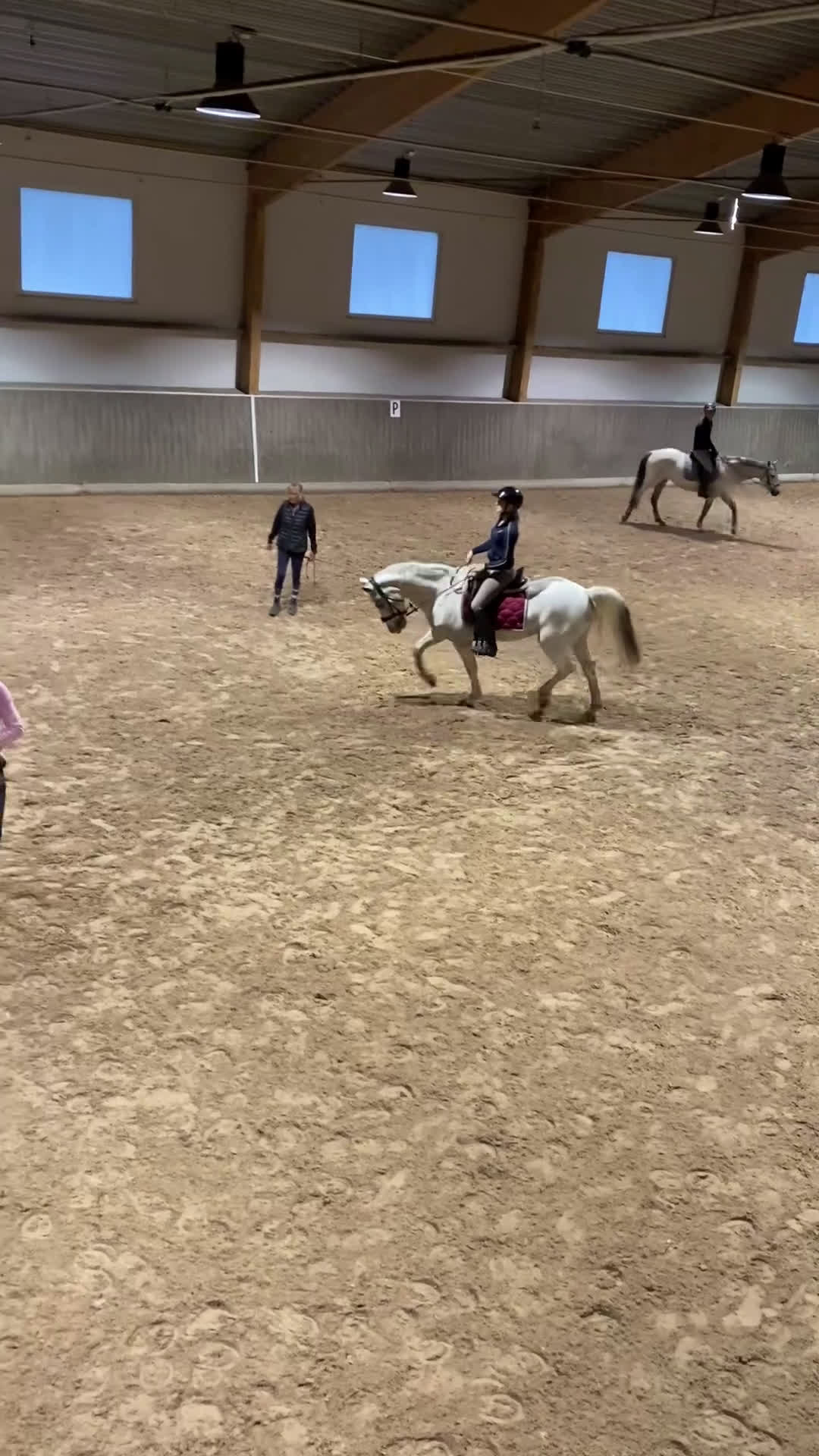 Dressyr hästar sökes: Söker medryttare till min fina D-ponny! i Upplands Väsby - Video 1