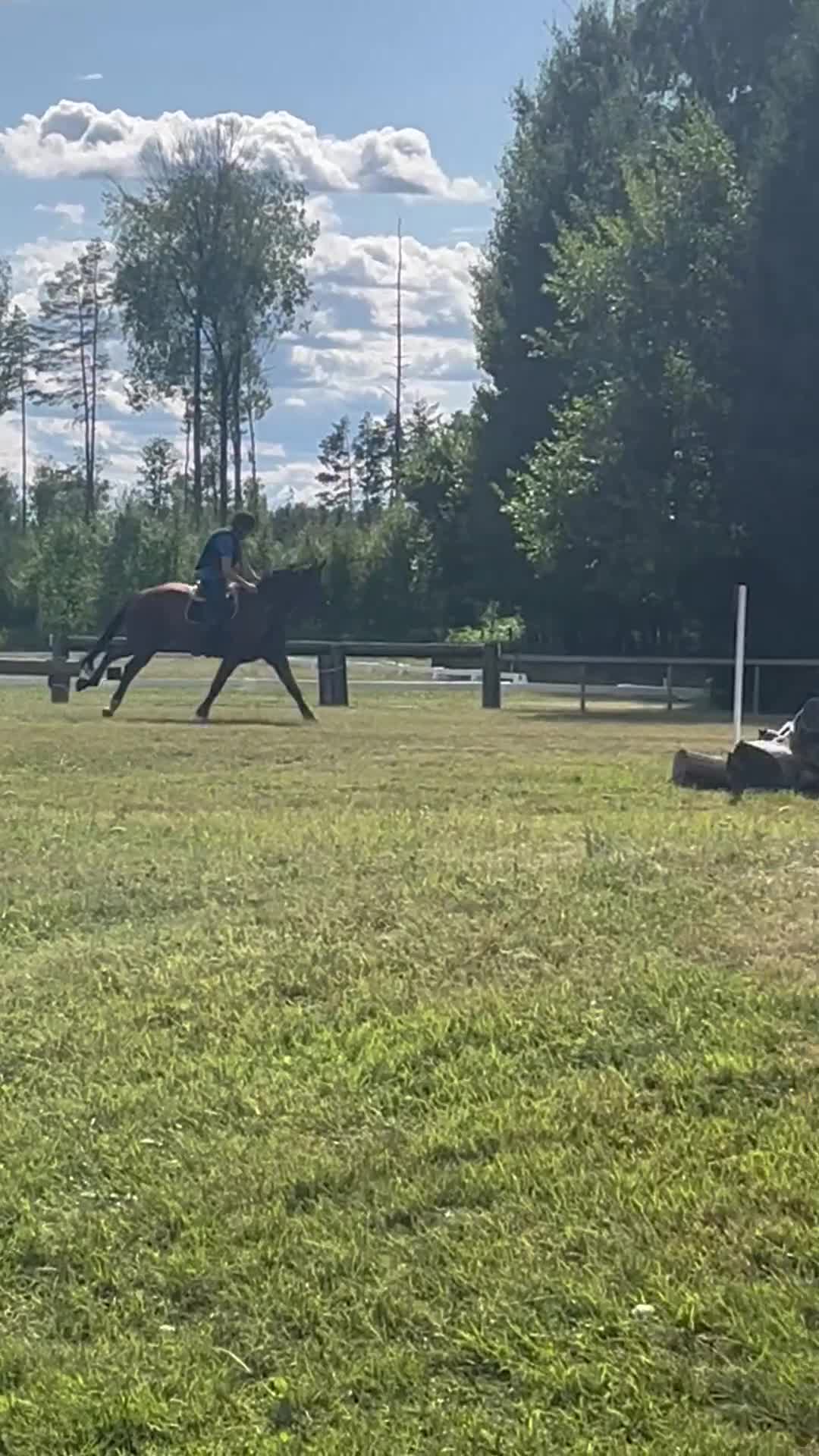Allround hästar till salu: Fälttävlans ämne! - Video 1