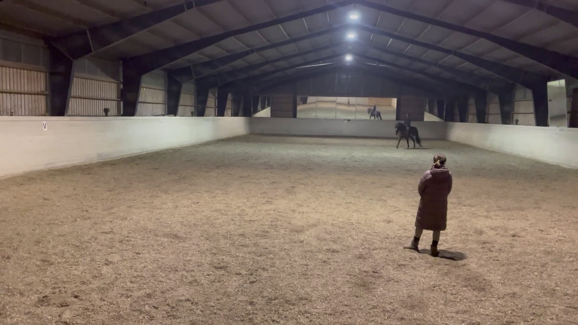 Dressyr hästar till salu: Lovande dressyrsto - Video 3