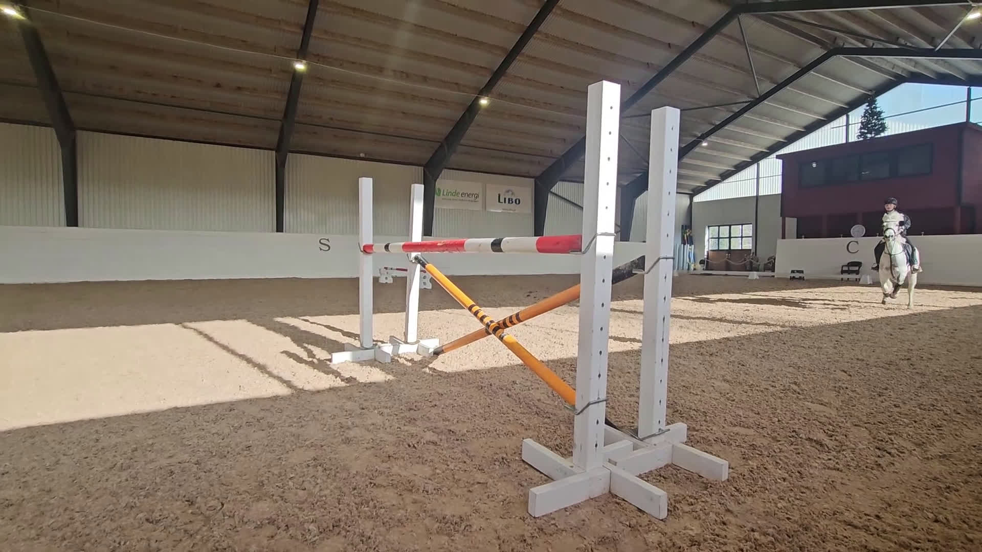 Hoppning hästar till salu: FÖR HÖGSTA KLASSERNA - Besiktad 🌟 - Video 1