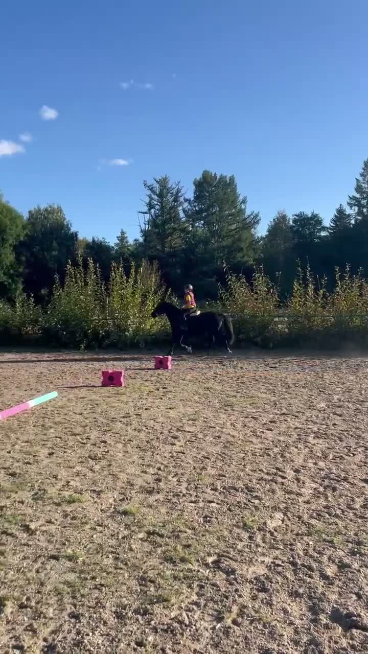 Allround hästar till salu: Rar ponny - Video 1