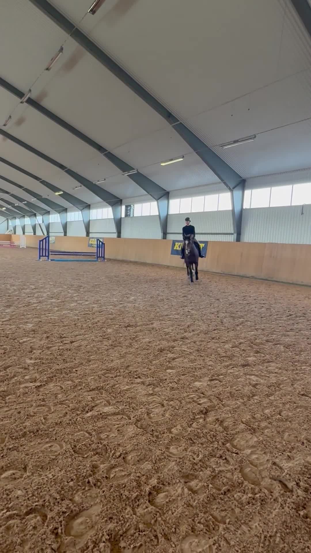  foderhäst finnes: 18 årigt sto uthyres  - Video 2