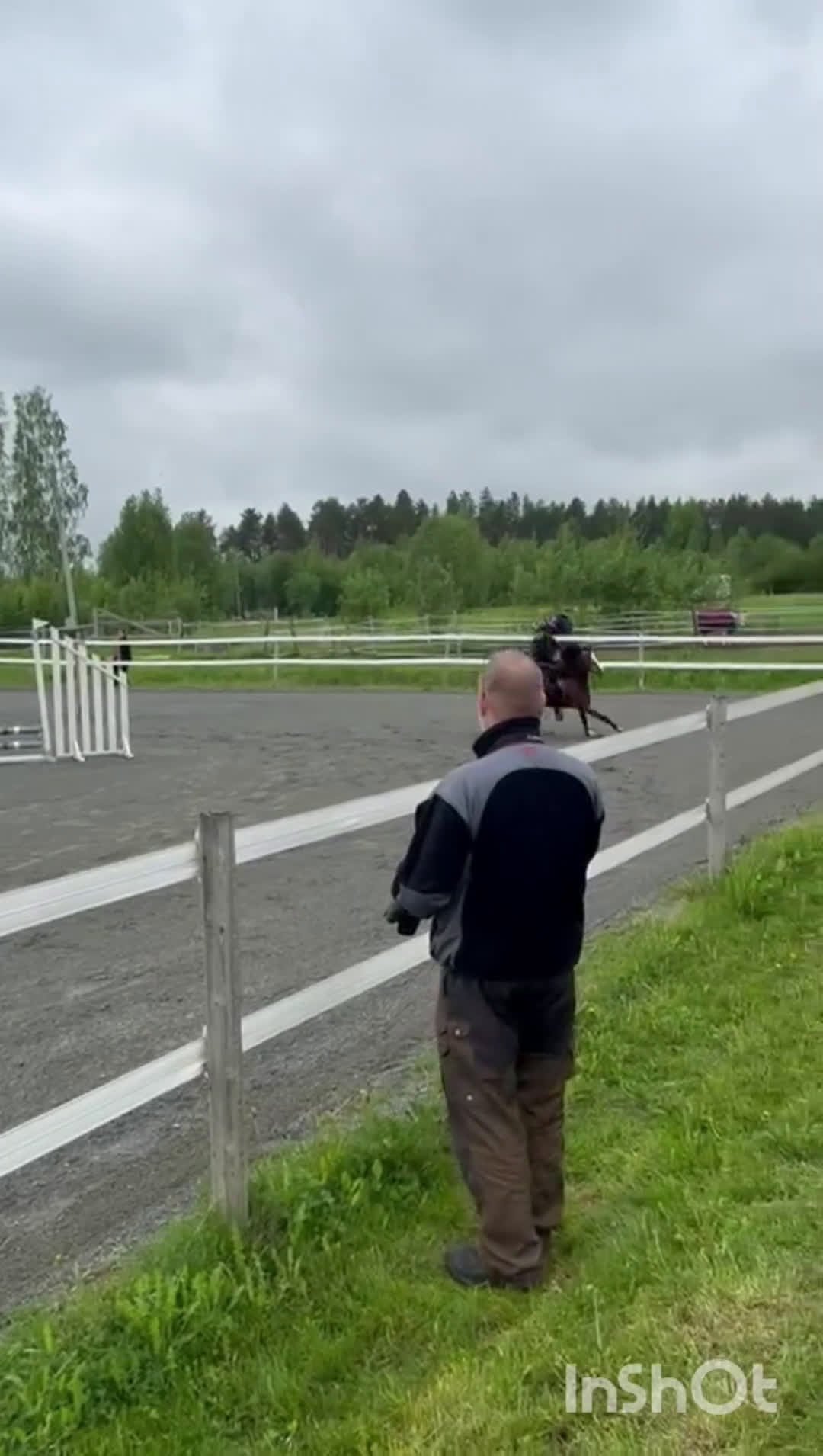 Allround hästar till salu: Framtida B-Ponny för tävling, Ametist  - Video 1