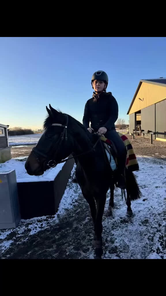 Fälttävlan hästar till salu: Lyxig D-ponny för hoppning  i Skivarp - Video 2