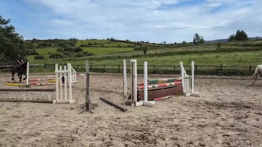 Allround hästar till salu: Rolig allround ponny  i Ödsmål - Video 1