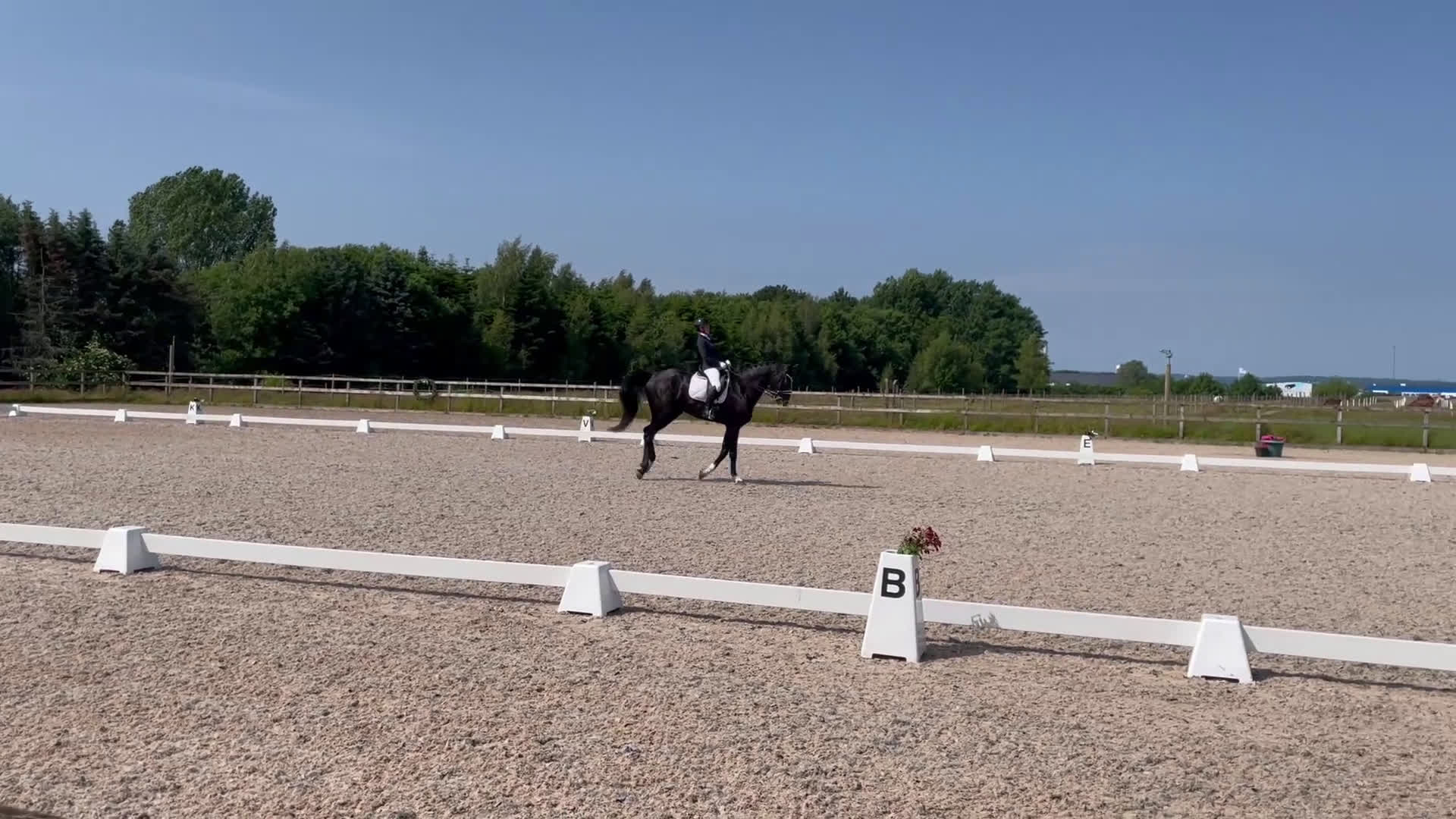 Allround hästar till salu: Läromästare i Växjö - Video 2