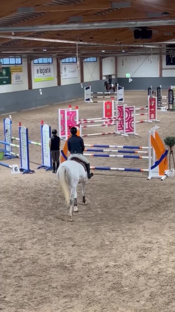 Hoppning hästar till salu: SWB STO – välstammad hopphäst - Video 2
