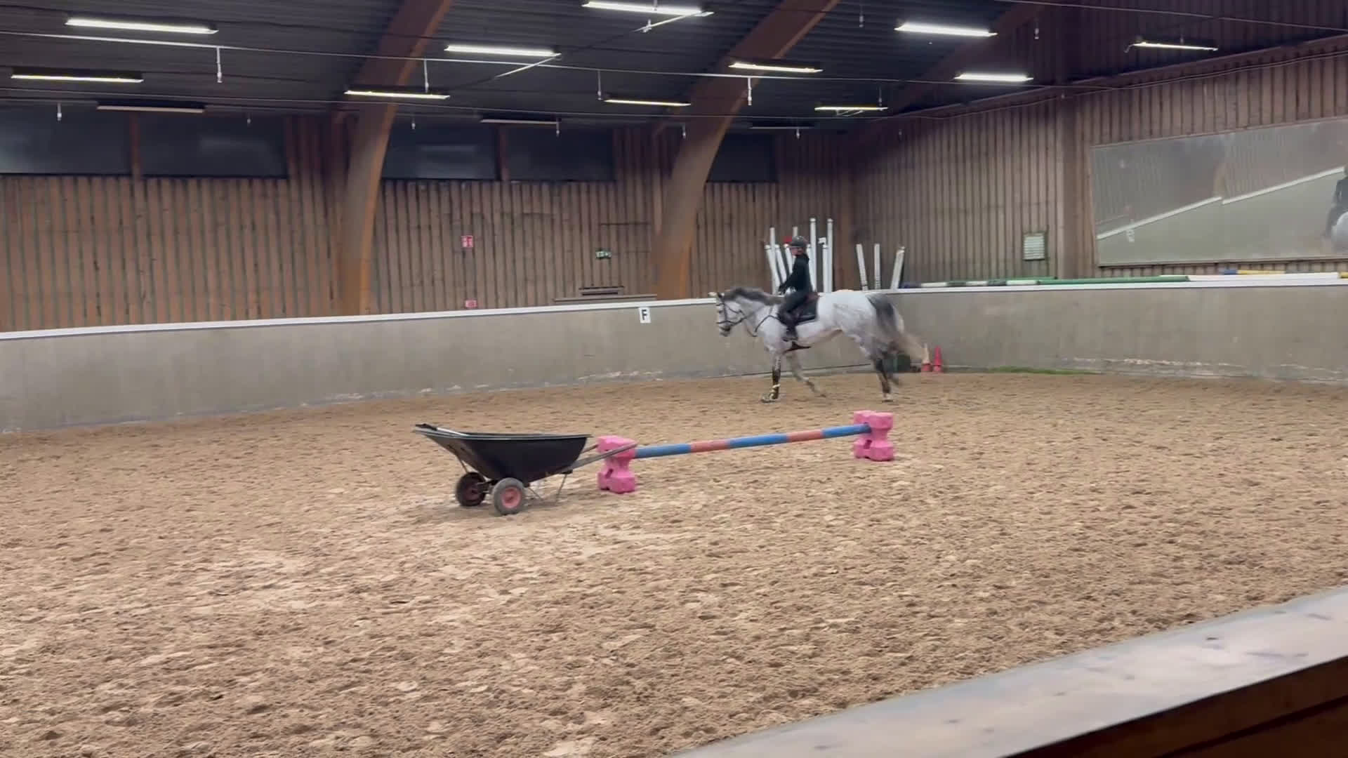 Hoppning hästar till salu: Sto med världens största hjärta! i Kungsängen - Video 2