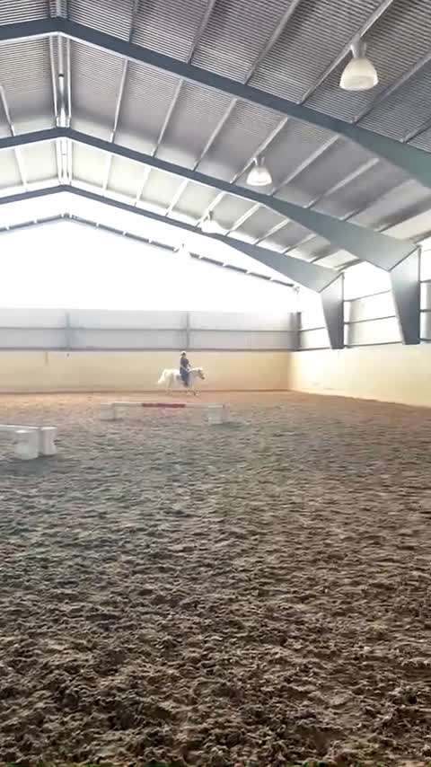 Allround hästar sökes: Söker en bästa vän<3 i Norrtälje - Video 2