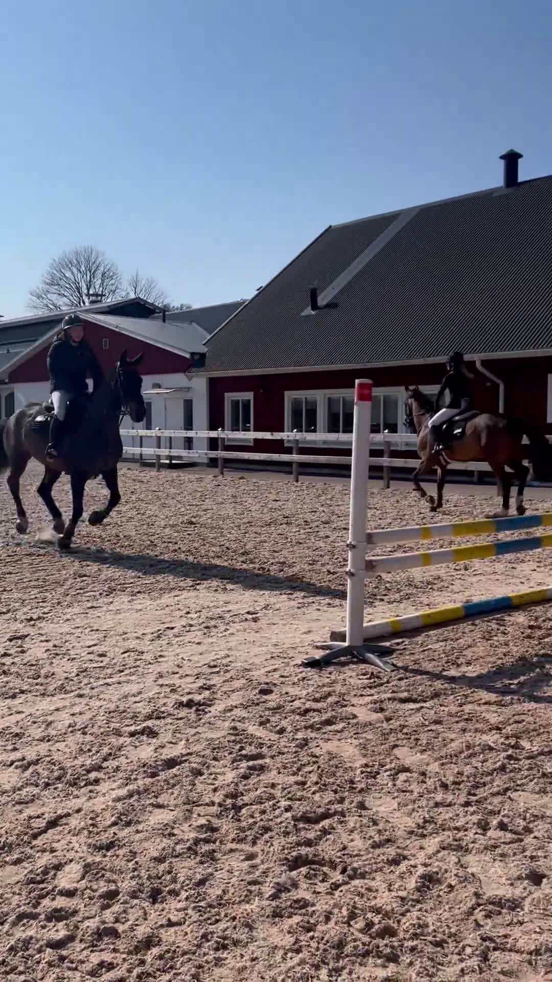 Hoppning hästar till salu: Fin tävlingshäst  i Gamleby - Video 2