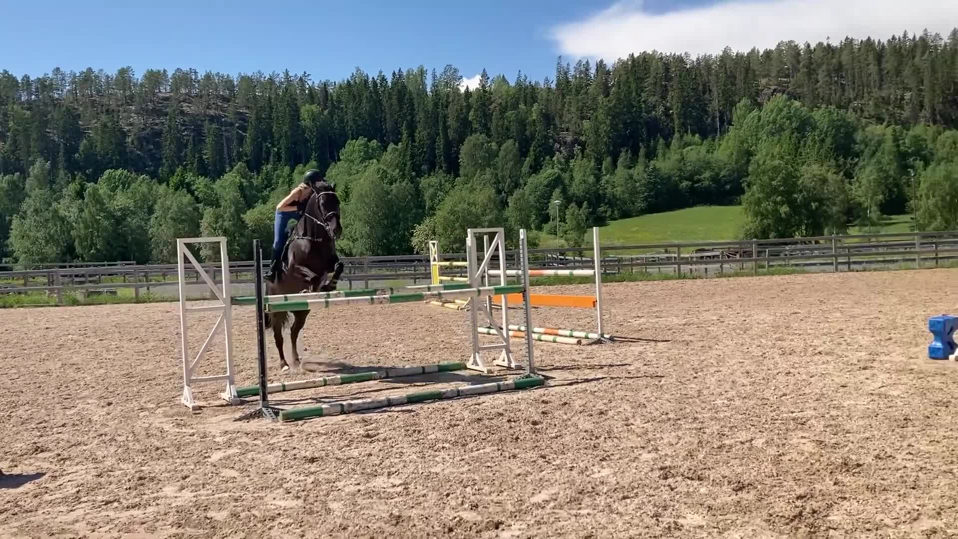 Allround hästar till salu: Lyxig hobbyhäst med ett hjärta av guld i Bonässund - Video 1