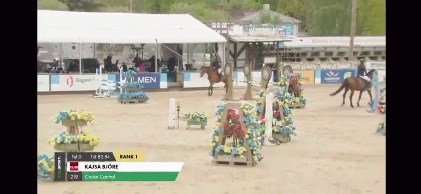 Hoppning hästar till salu: Trevlig val e hiphop med rutin 130 - Video 2