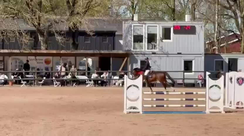 Hoppning hästar till salu: Trevlig 5årig med tilltalande stam!  - Video 3
