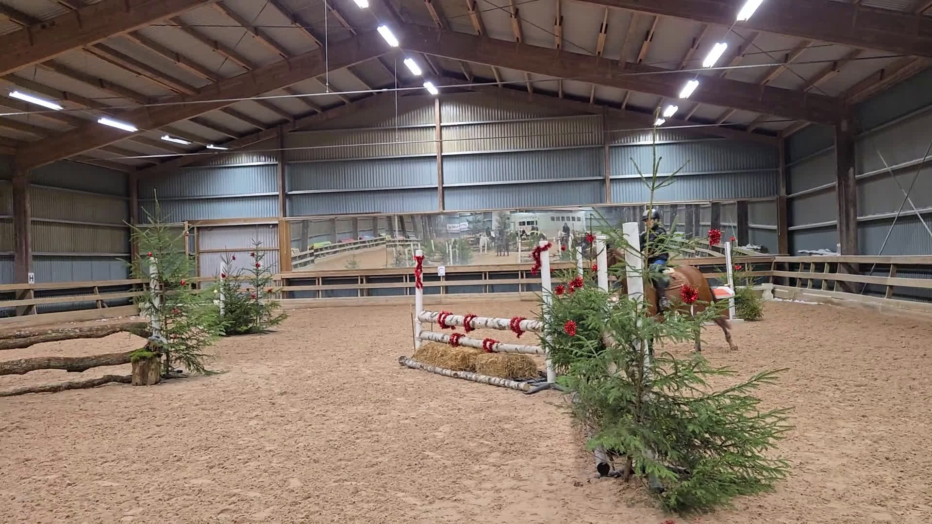 Allround hästar till salu: Snygg sportponny  - Video 3