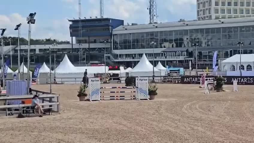 Hoppning hästar till salu: Trevlig, välutbildad hopphäst - Video 3