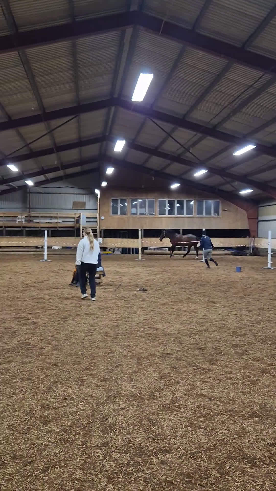 Hoppning hästar till salu: Fantastisk hobby/tävlingskompis efter Kannan  i Linköping - Video 3