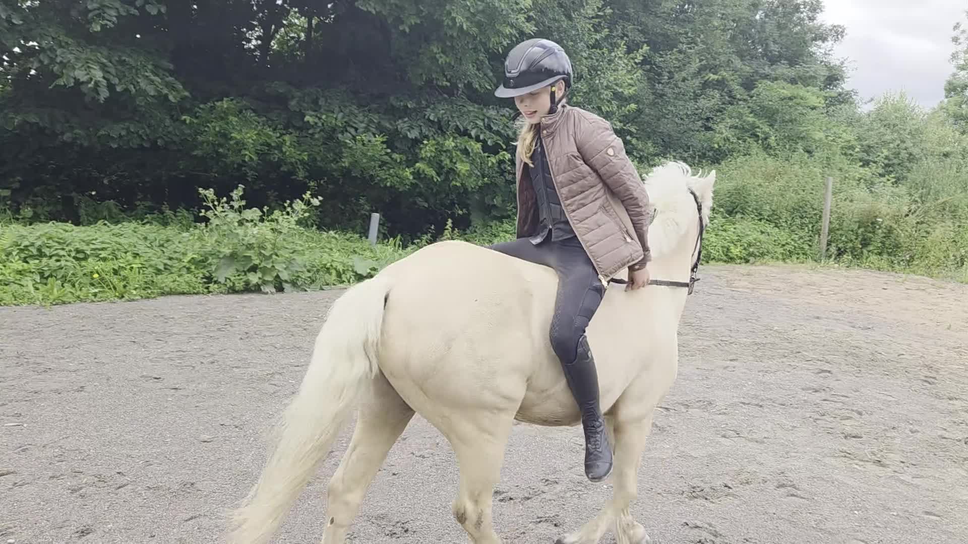 Allround hästar till salu: Trevlig barnponny - Video 1