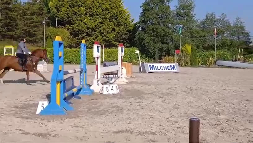 Hoppning hästar till salu: Helt fantastisk D ponny 🌸 - Video 2