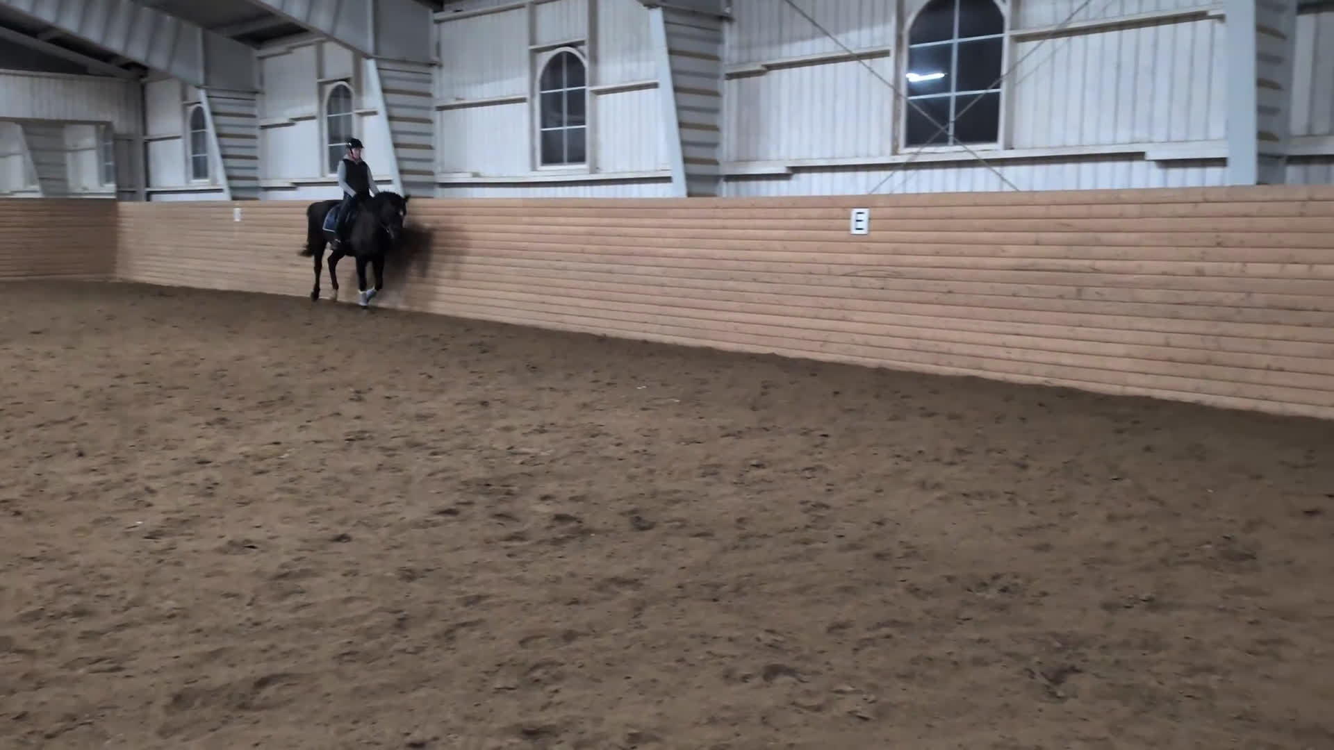 Allround hästar till salu: 🌟Fantastiskt vackra Soya 🌟 UA på export röntgen - Video 3