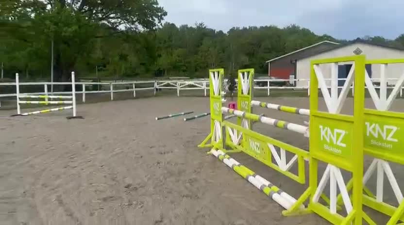 Hoppning hästar till salu: Ungponny SM 2026  - Video 3