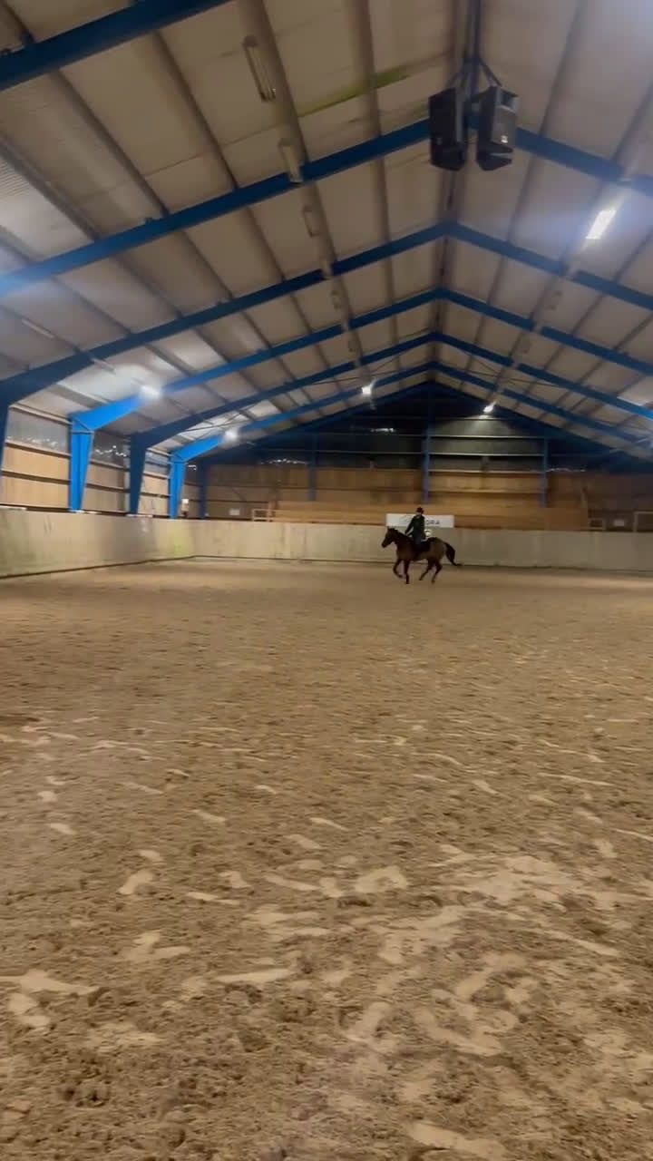 Allround hästar till salu: Hjärtehäst till salu - Video 2