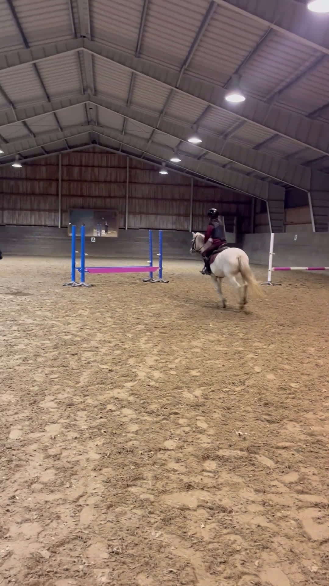 Allround hästar till salu: Allsidig ponny  i Lerum - Video 1