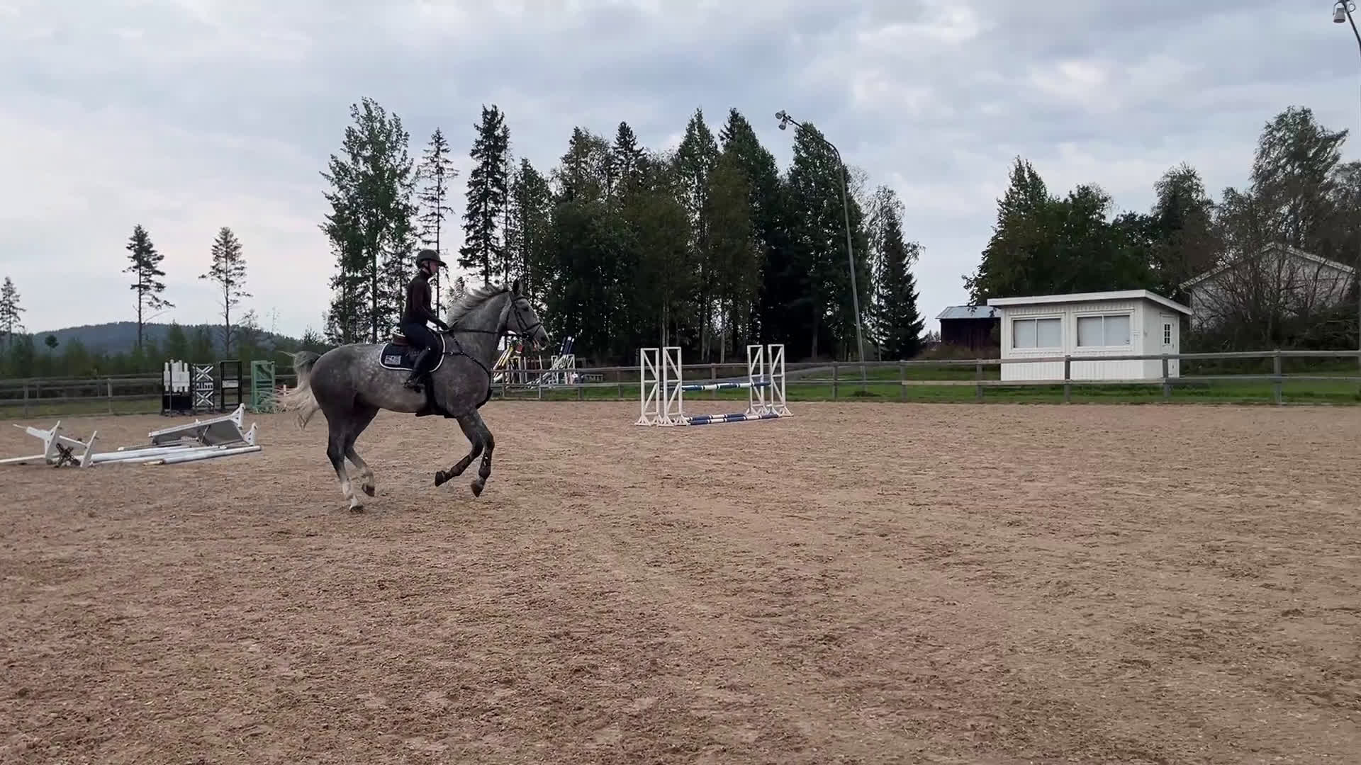 Allround hästar till salu: Trevlig valack e:Action Man Ask Z i Örnsköldsvik - Video 1