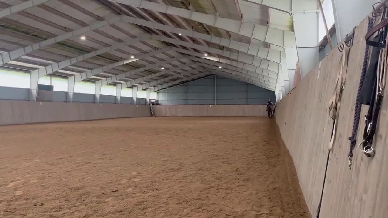 Allround hästar till salu: Läromästare i valfri gren⭐️ - Video 1