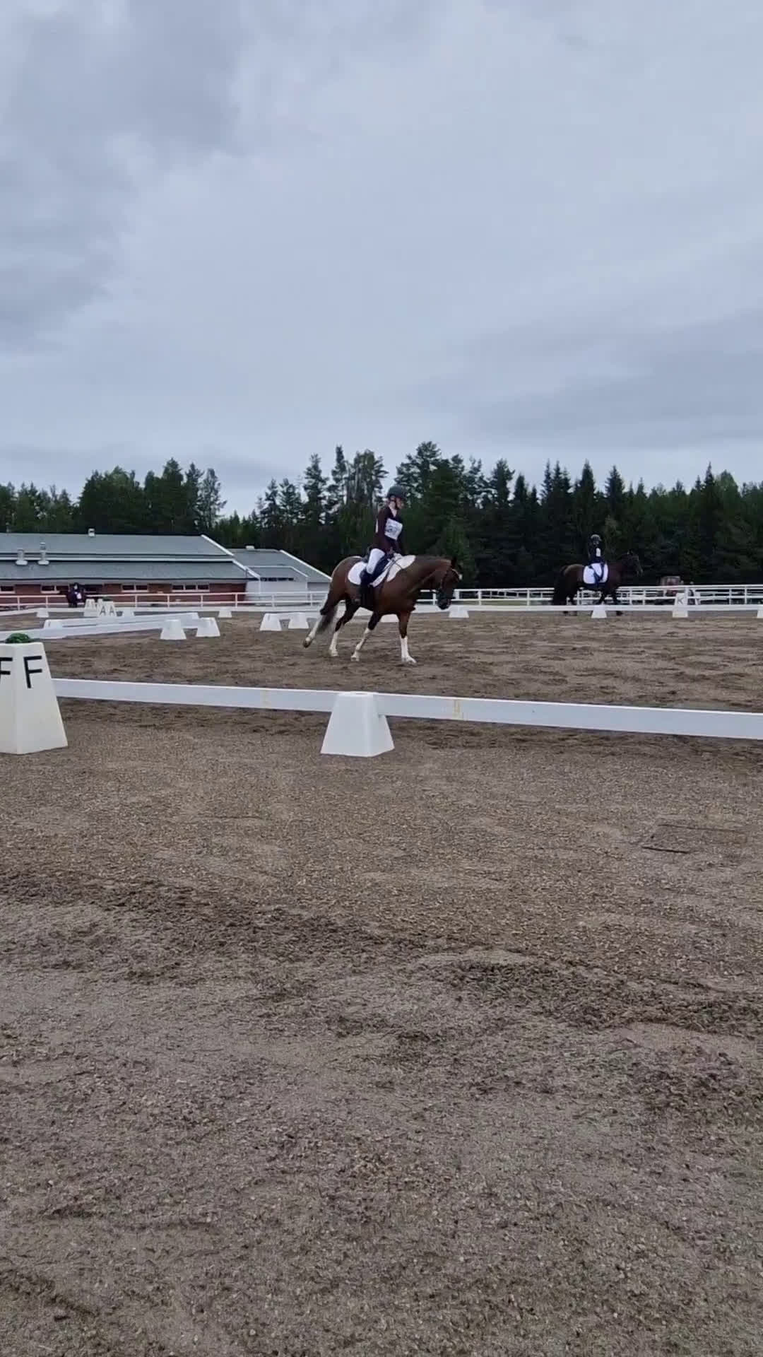 Hoppning hästar till salu: Allroundponny med utstrålning🐴 i Järvsö - Video 3