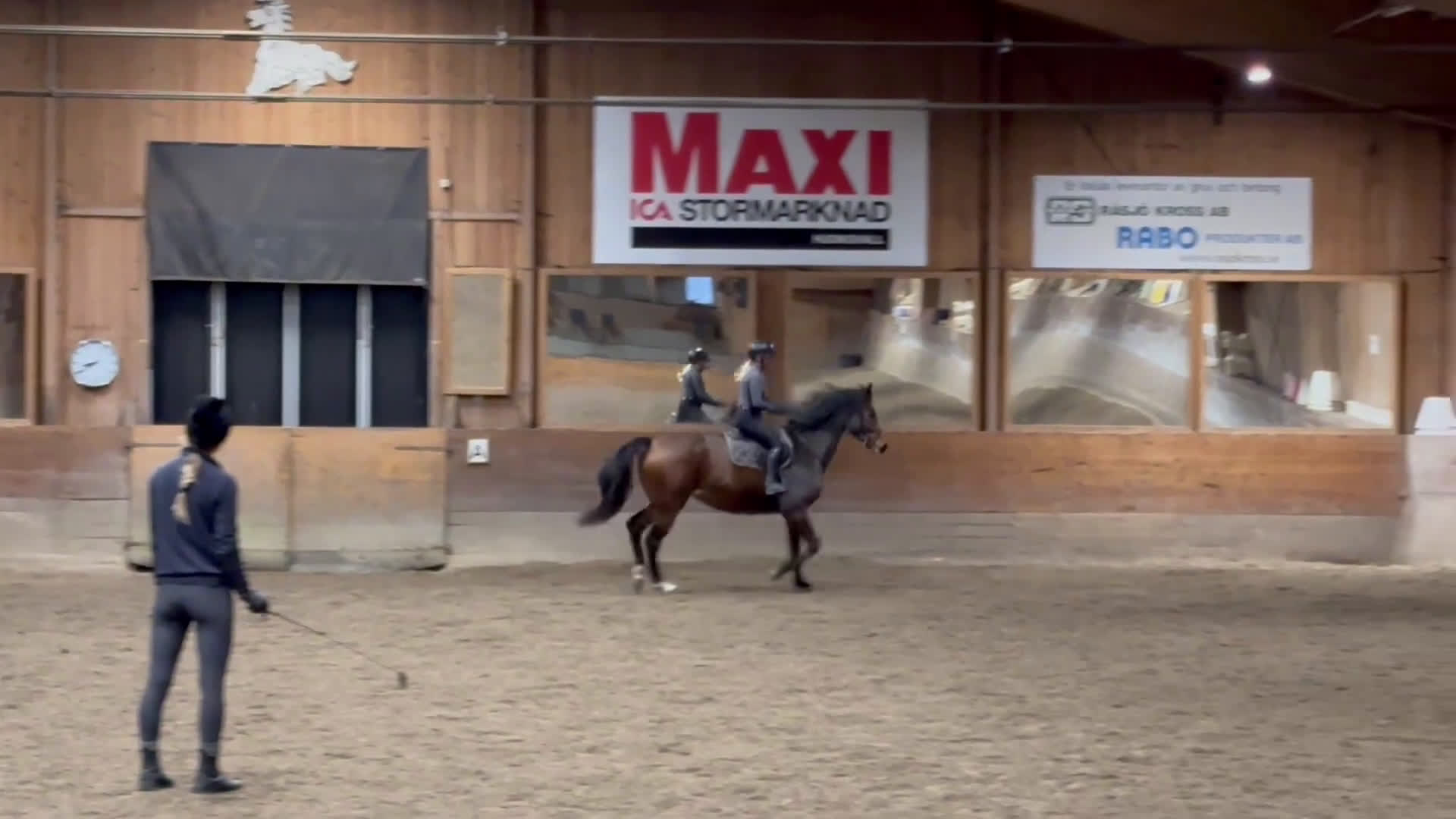 Hoppning hästar till salu: Fint 3 årigt sto efter Montevideo i Hudiksvall - Video 3