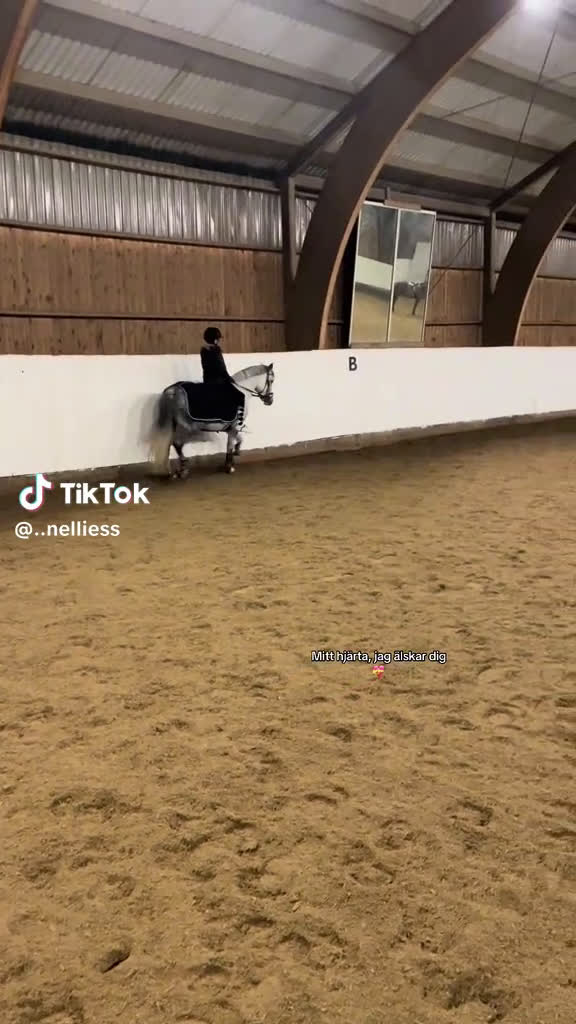 Hoppning hästar till salu: Fantastisk C-ponny säljes. i Grödinge - Video 1