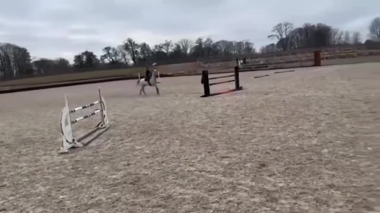 Hoppning hästar till salu: Talangfull hopphäst till salu! - Video 3