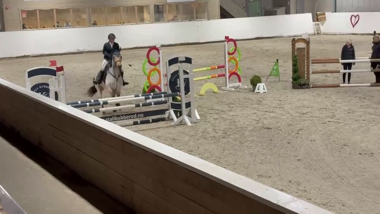 Allround hästar till salu: Nydelig og snill ponni søker godt hjem - Video 1