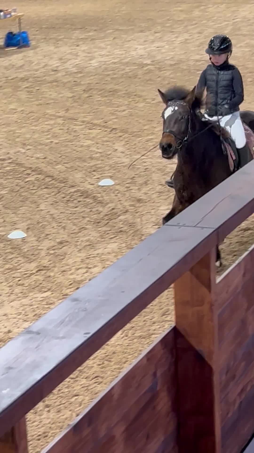 Island hästar till salu: Socialt och trevligt sto med lätt för tölt  i Bjuv - Video 1