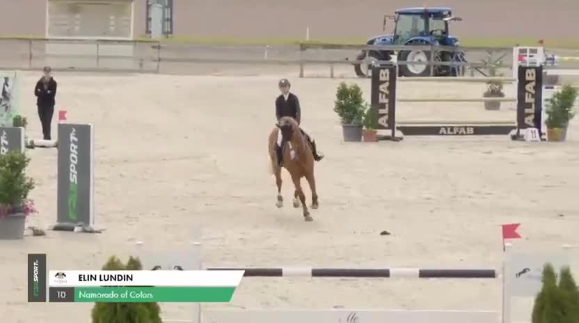 Hoppning hästar till salu: Modig valack i Horndal - Video 1