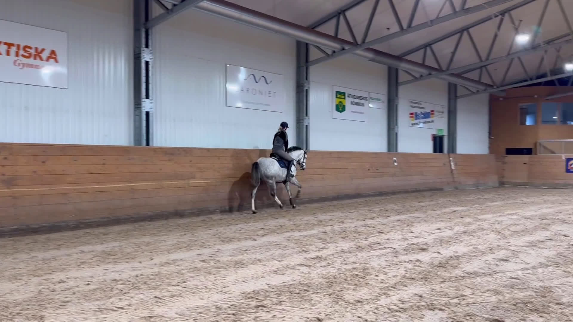 Hoppning hästar till salu: Trevligt sto i Åtvidaberg - Video 3