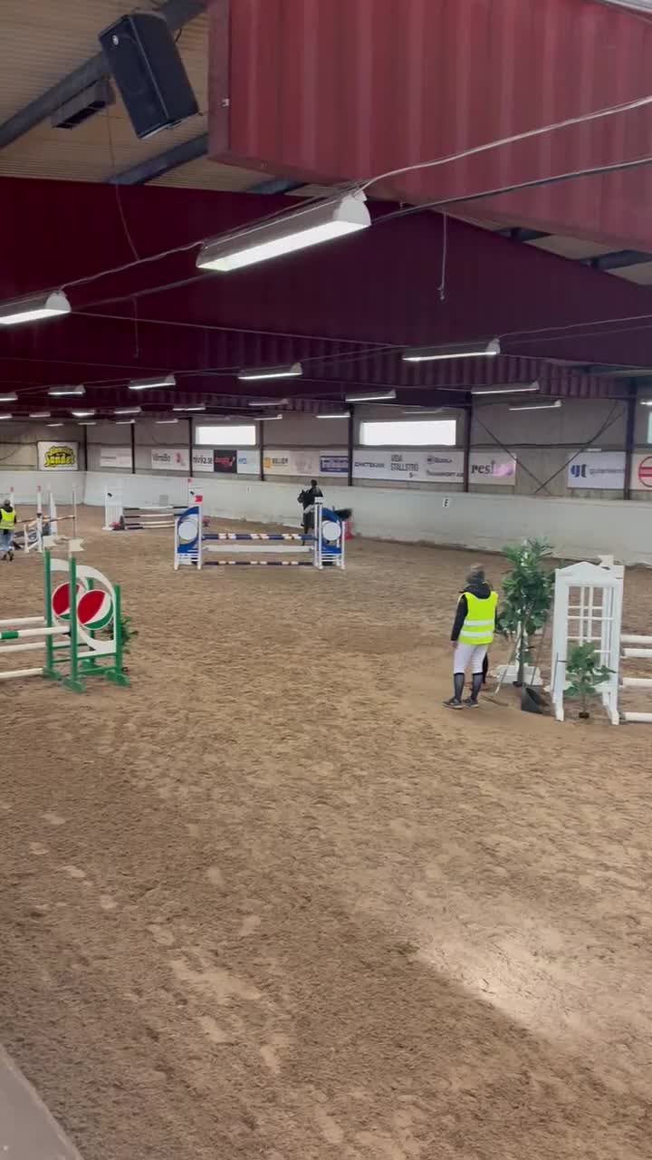Hoppning hästar till salu: Charmig tjej med hjärta av guld  - Video 1