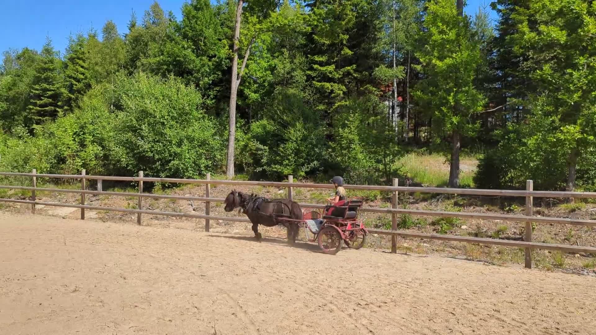 Körsulkys körning till salu: Dominiakz 016L, med broms - Video 1